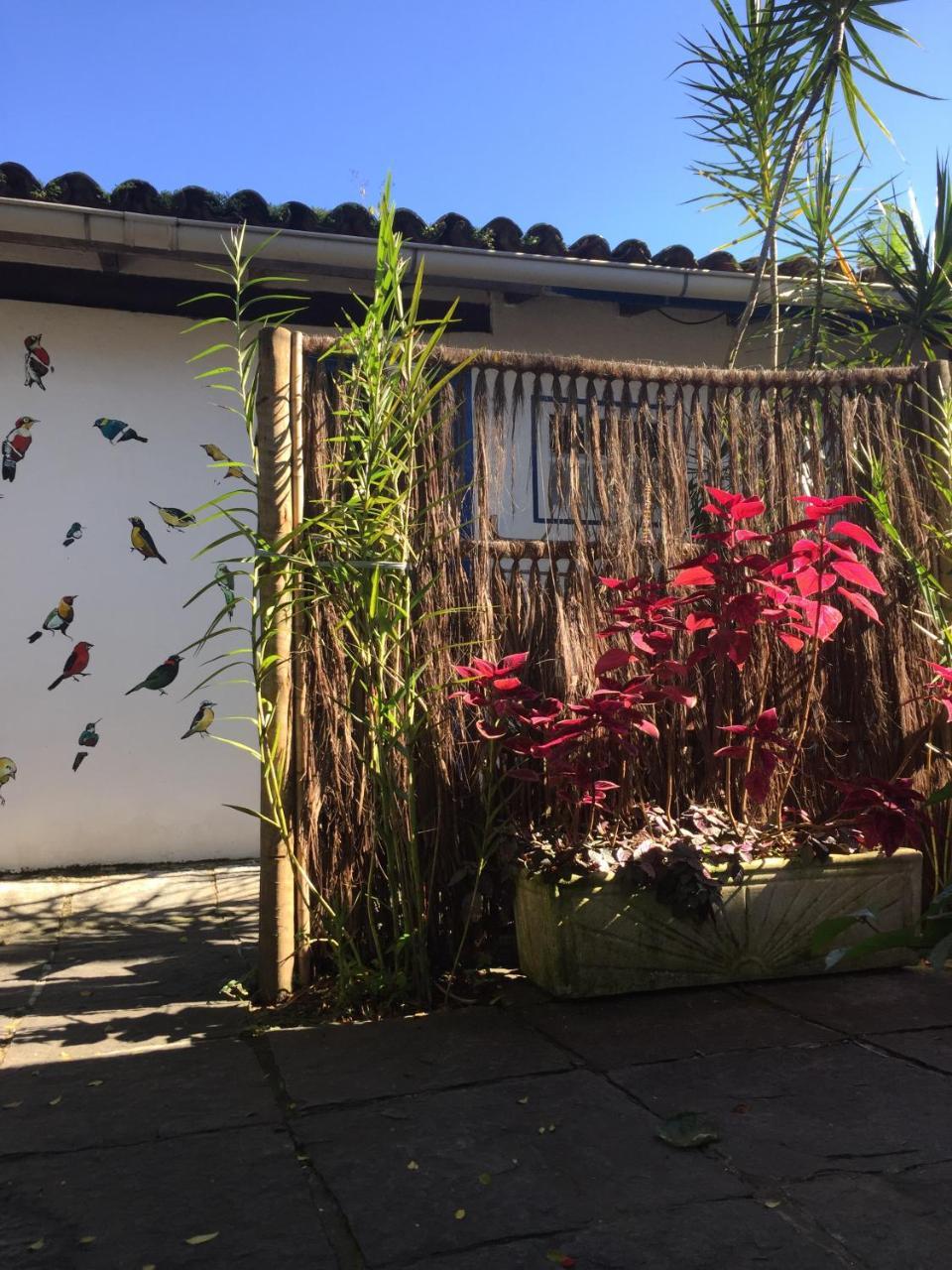Pousada Jardim Dos Oliveiras 파라티 외부 사진